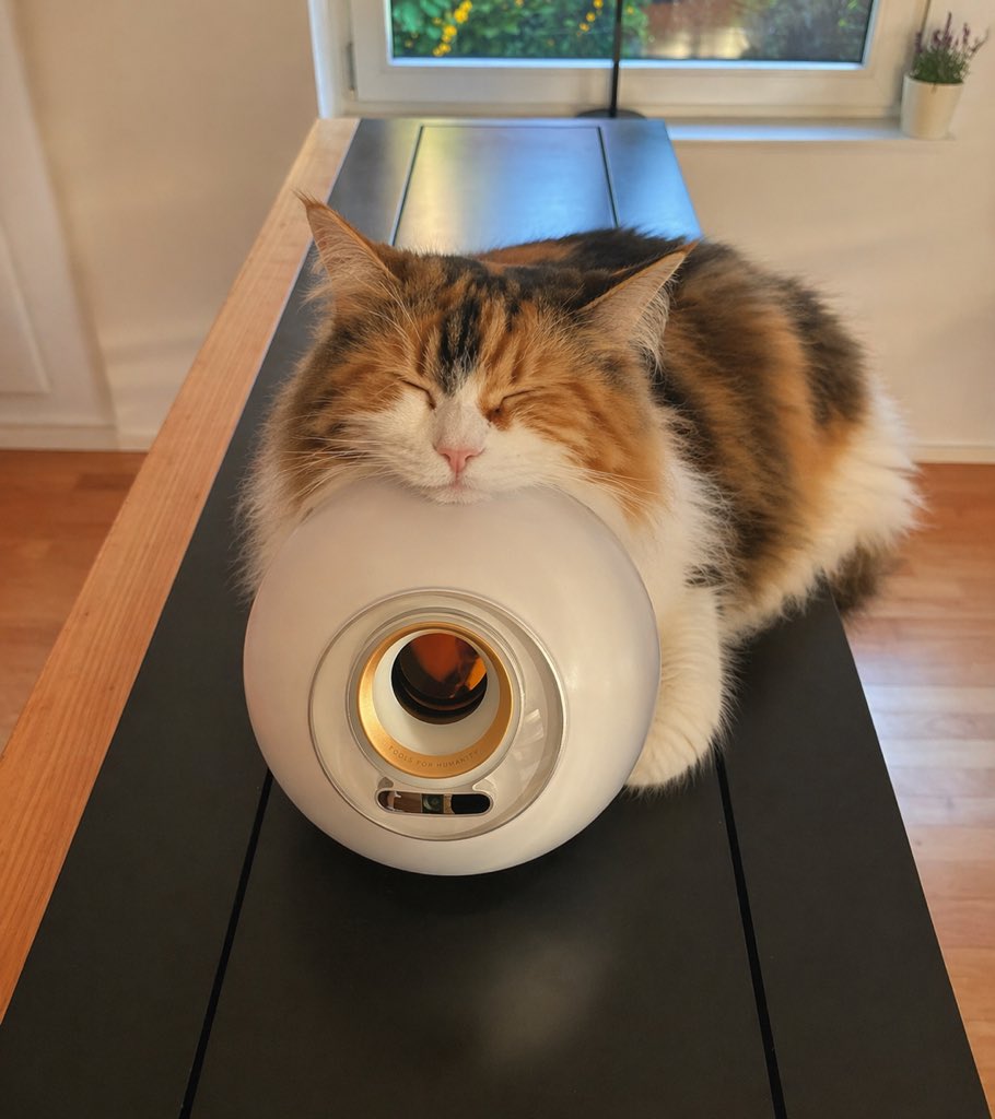 Fluffy Calico Cat Sleeping on White Appliance — Sora 2 Prompt