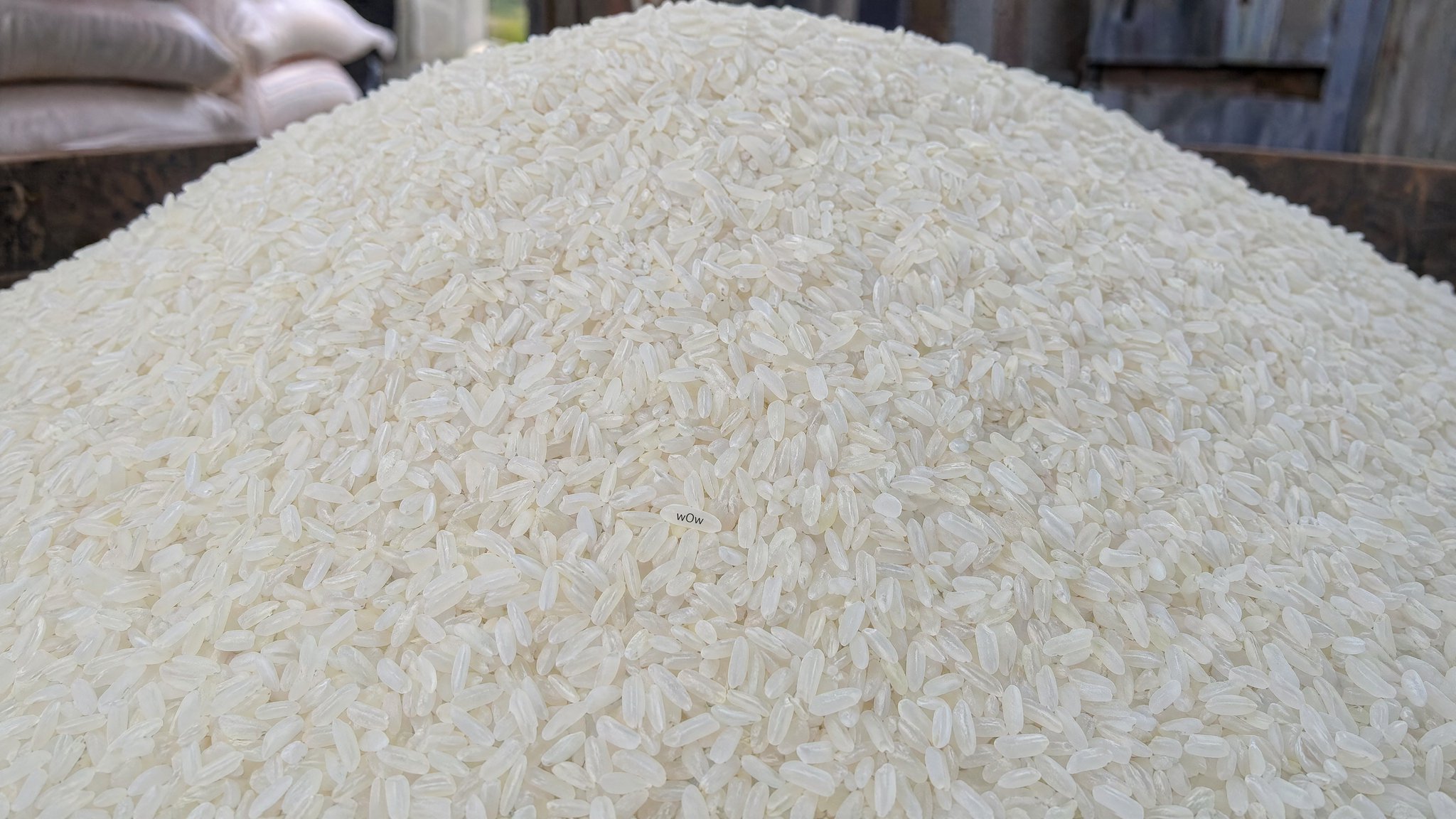 Massive Rice Pile with Tiny 'wOw' Text — Sora 2 Prompt