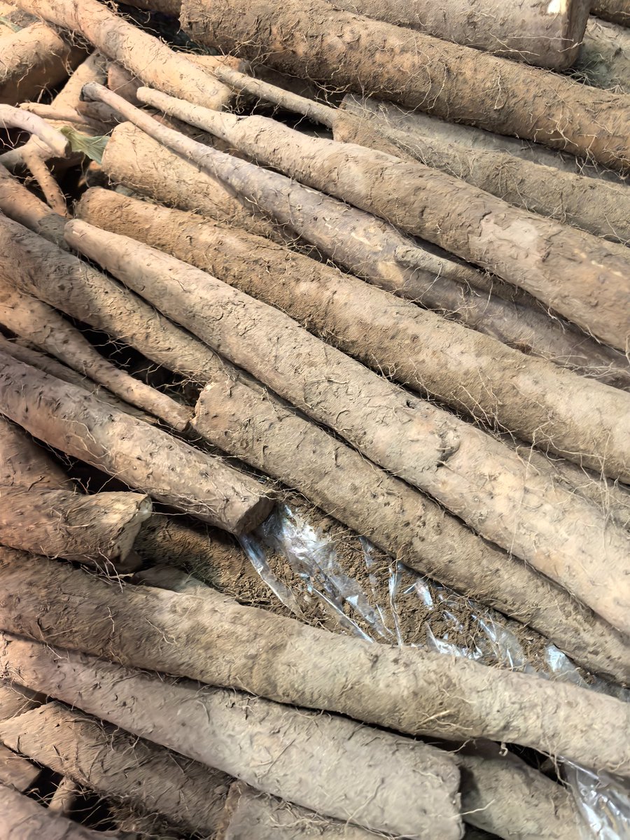 Yam Packaging Prompt: Turn Photos into Marketing Designs