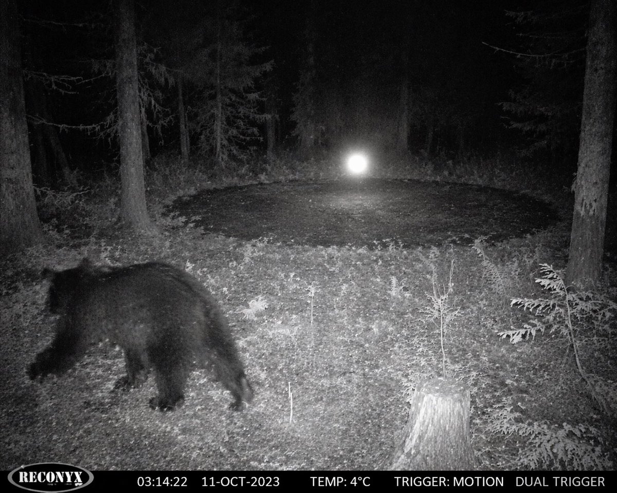 Supernatural Infrared Camera Capture — Sora 2 Prompt