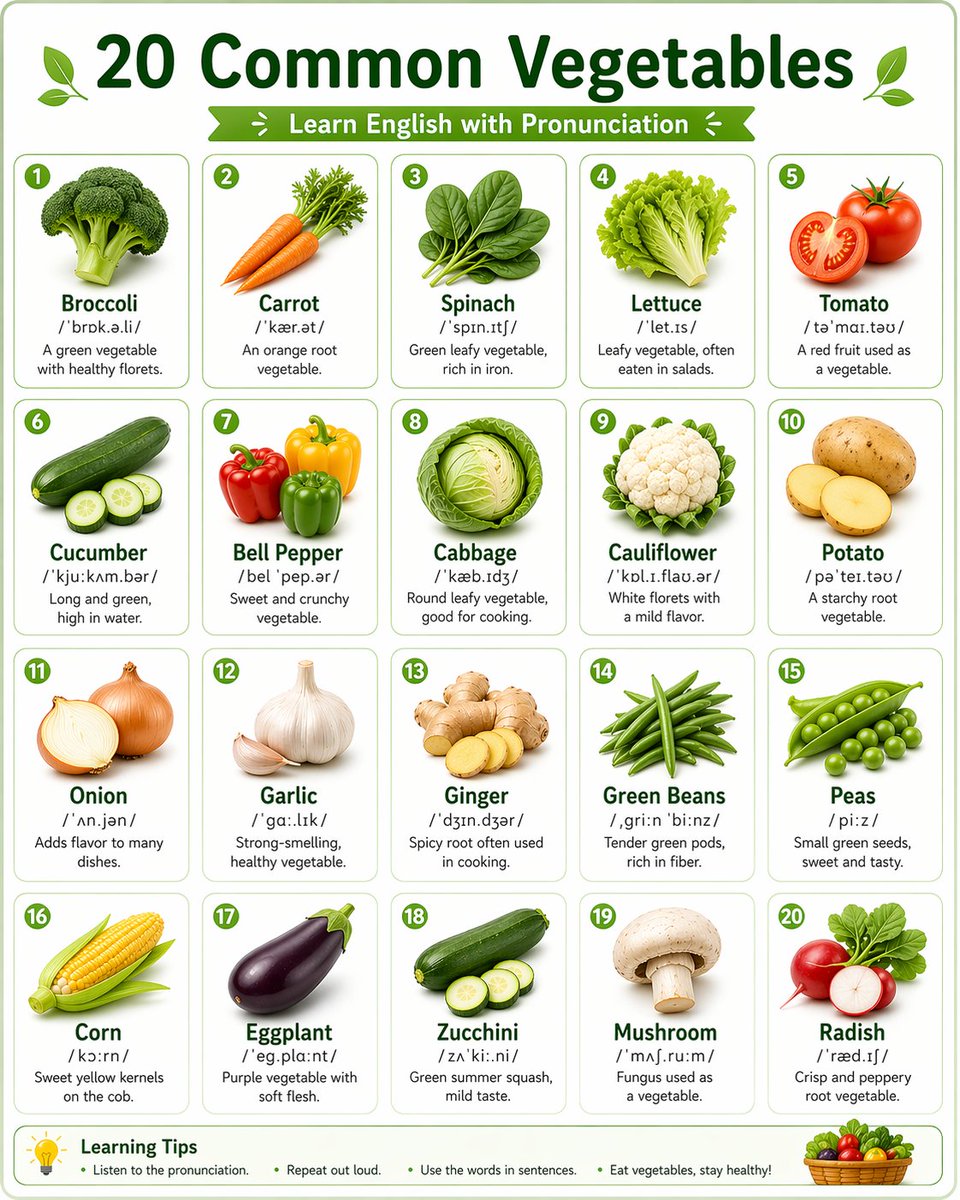Vegetable Vocabulary Infographic — Sora 2 Prompt