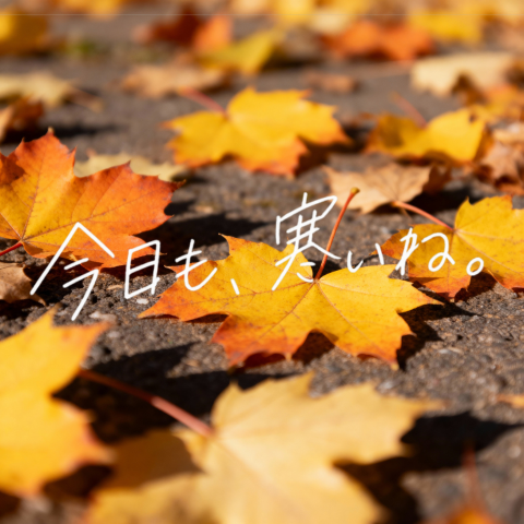 Autumn Leaves with Japanese Calligraphy — Sora 2 Prompt