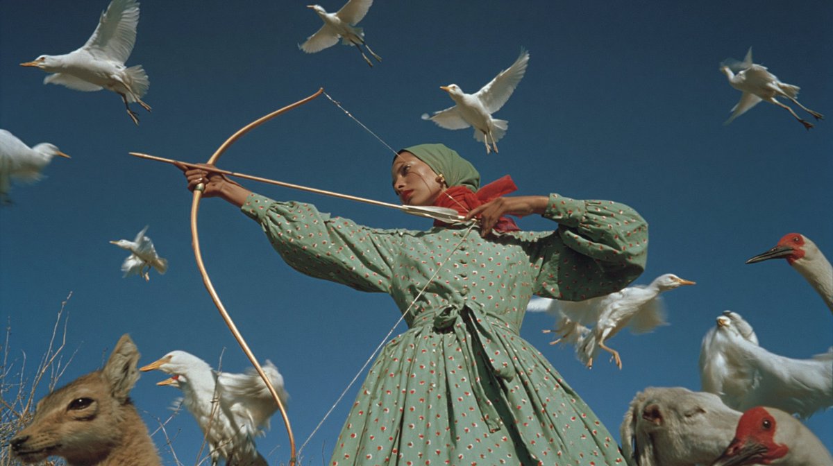 Surrealist Masked Archer with Birds & Beasts — Sora 2 Prompt