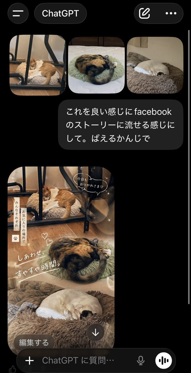 ChatGPT App Cat Story Collage — Realistic UI Screenshot Prom