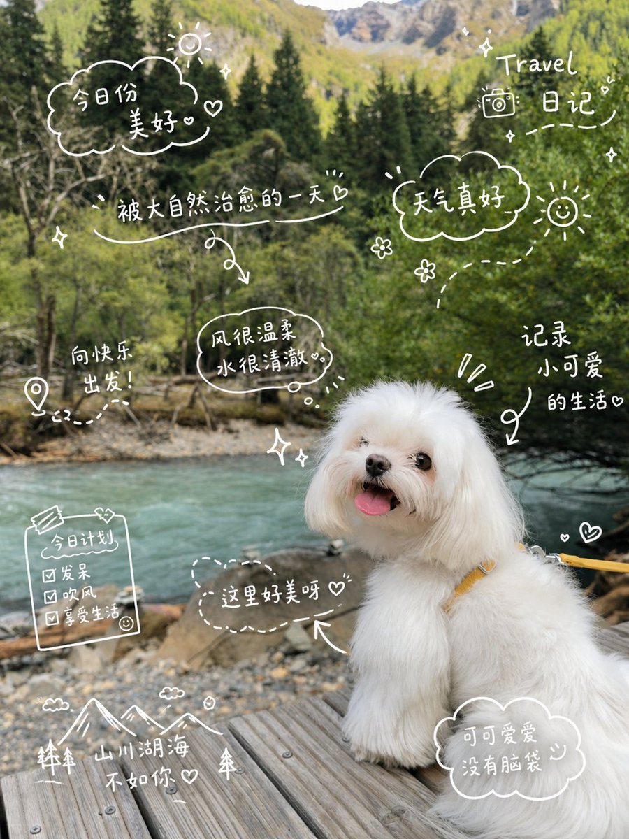Travel Diary Photo with Hand-Drawn Doodle Overlay — Sora 2 Prompt