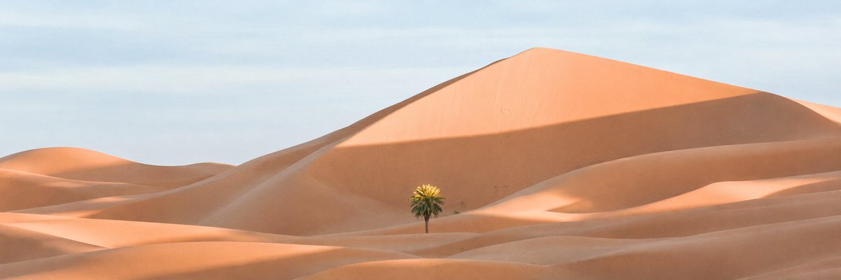 Cinematic Desert Dune & Lone Palm — Sora 2 Panoramic Prompt