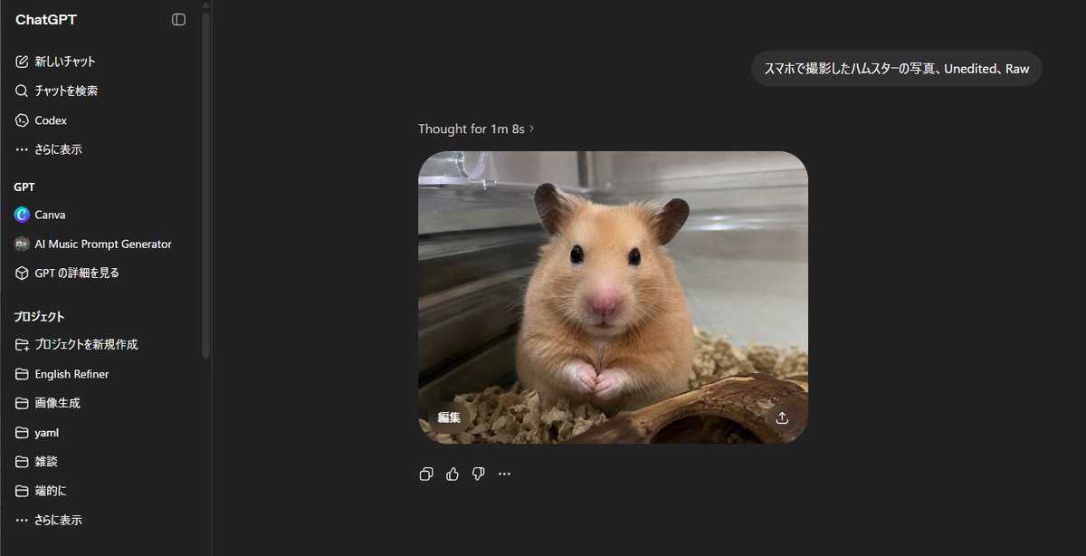ChatGPT Dark Mode Screenshot with Hamster Image Prompt