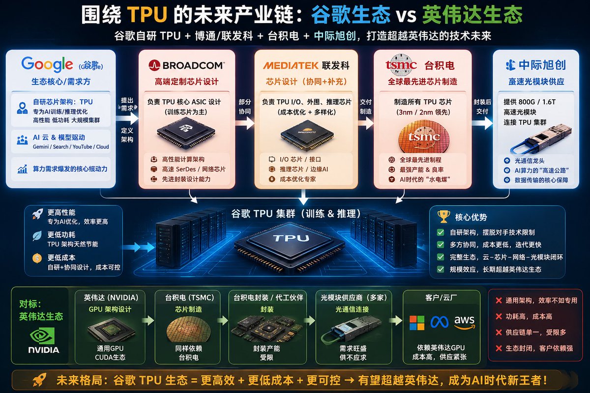 Google TPU vs Nvidia GPU Supply Chain Infographic