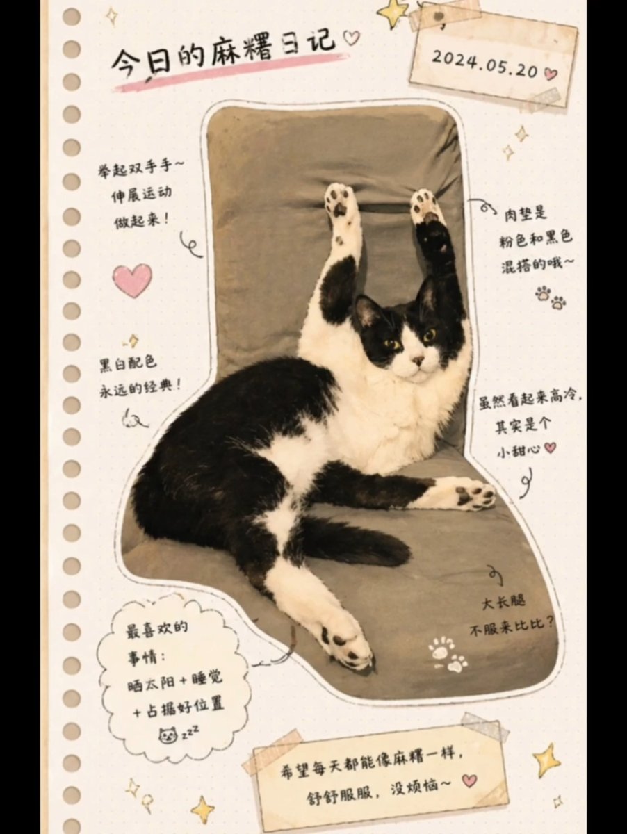 Japanese Hand-Lettering Pet Diary — Sora 2 Prompt